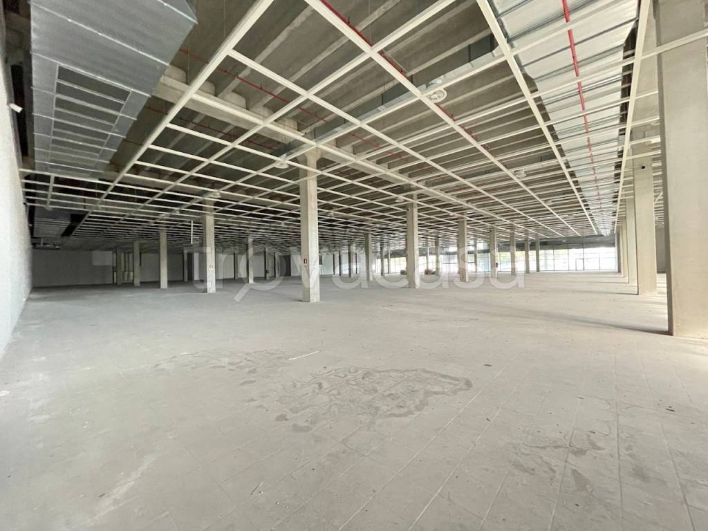 terreno edificabile in vendita a Lavagno