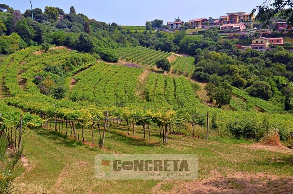 appartamento in vendita a Lavagno