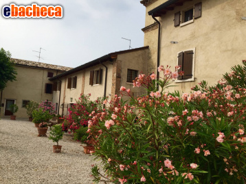 appartamento in vendita a Lazise