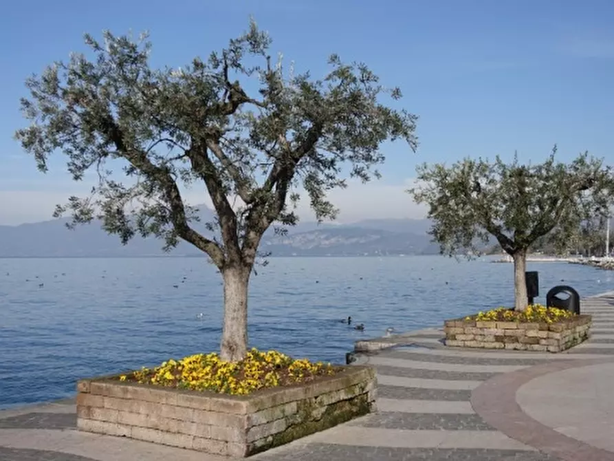negozio in vendita a Lazise