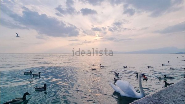 appartamento in vendita a Lazise