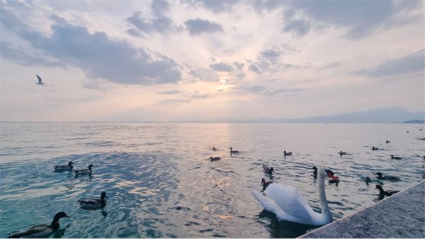 appartamento in vendita a Lazise