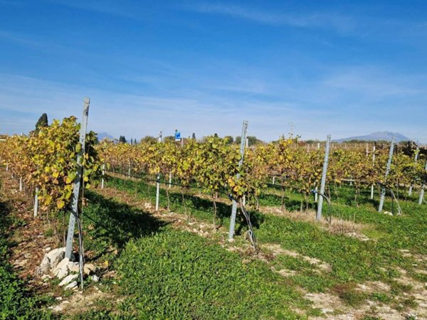 ufficio in vendita a Lazise