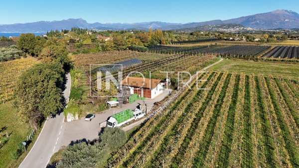 terreno agricolo in vendita a Lazise