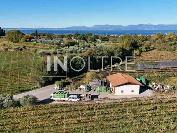 terreno agricolo in vendita a Lazise