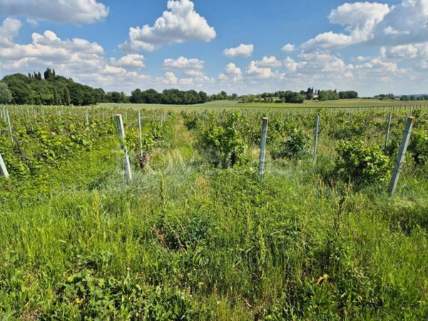terreno agricolo in vendita a Lazise in zona Colà
