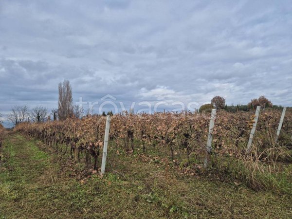 terreno agricolo in vendita a Lazise in zona Colà