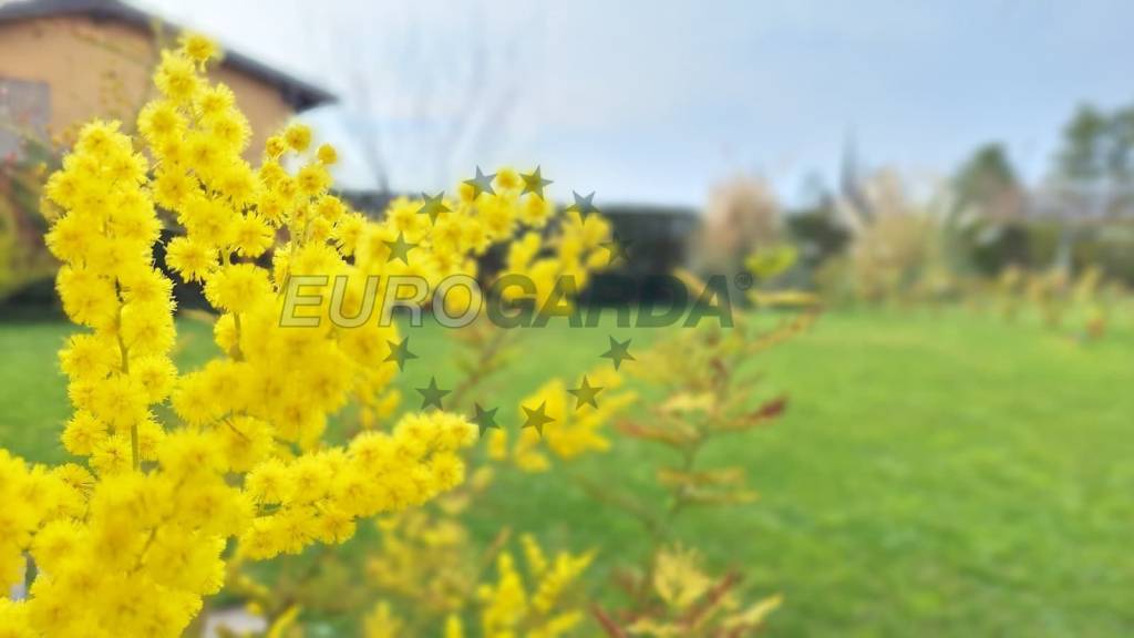 casa indipendente in vendita a Lazise
