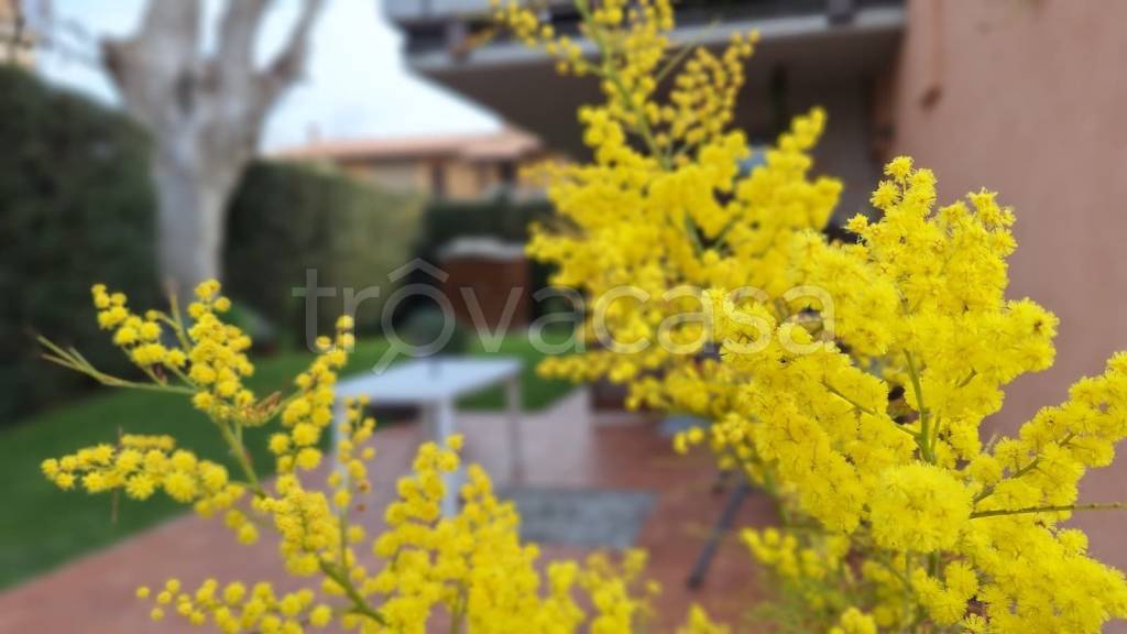 casa indipendente in vendita a Lazise
