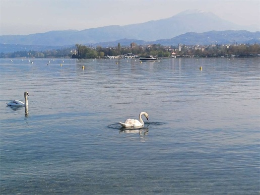 casa indipendente in vendita a Lazise