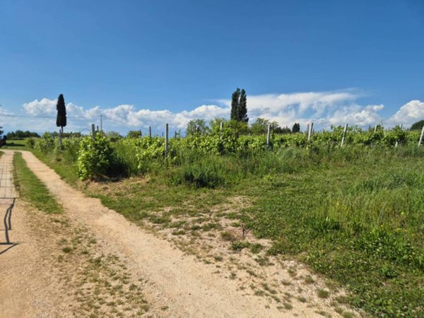 terreno agricolo in vendita a Lazise in zona Colà