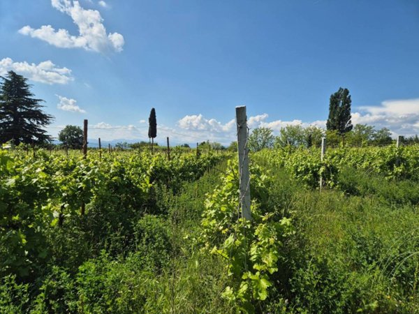 terreno agricolo in vendita a Lazise in zona Colà