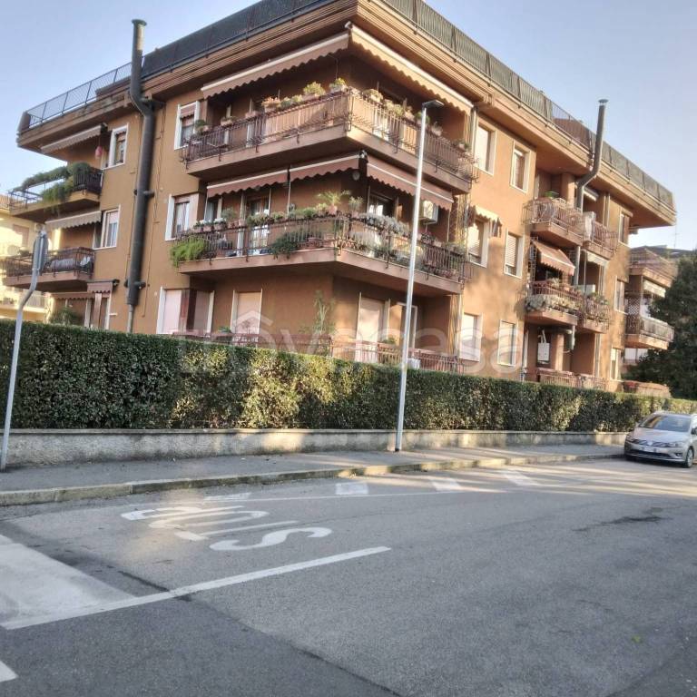 appartamento in vendita a Legnago in zona Casette