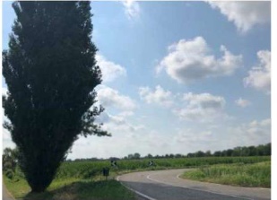 mansarda in vendita a Legnago in zona Vangadizza