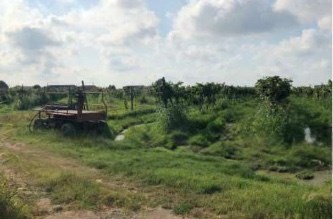 terreno edificabile in vendita a Legnago in zona Vangadizza