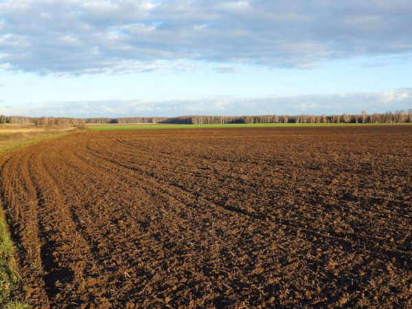 terreno agricolo in vendita a Legnago