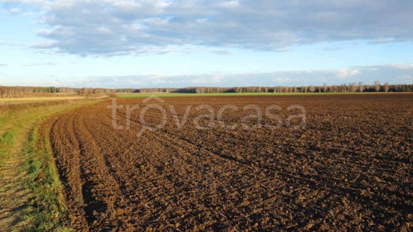 terreno agricolo in vendita a Legnago