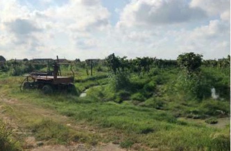 terreno edificabile in vendita a Legnago in zona Vangadizza