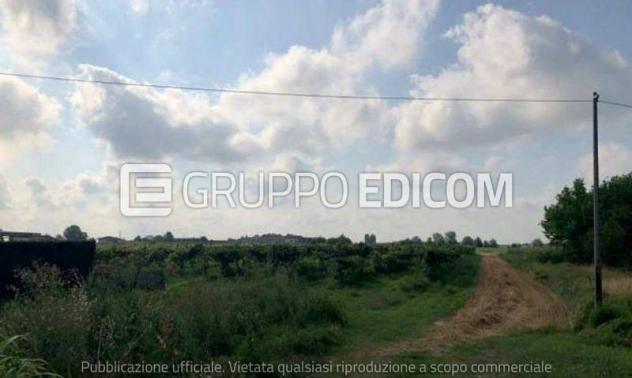 terreno agricolo in vendita a Legnago in zona Vigo