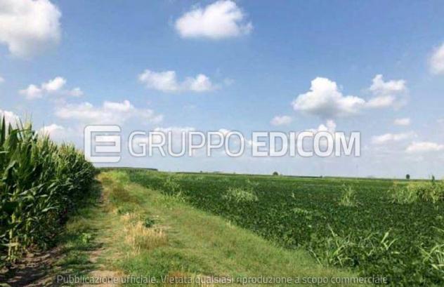 terreno agricolo in vendita a Legnago
