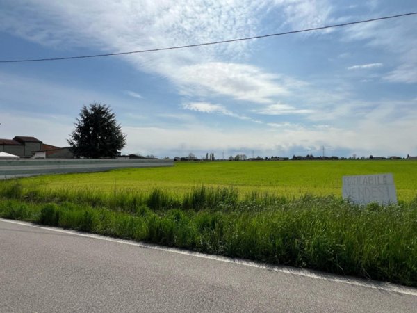 casa indipendente in vendita a Legnago in zona San Pietro