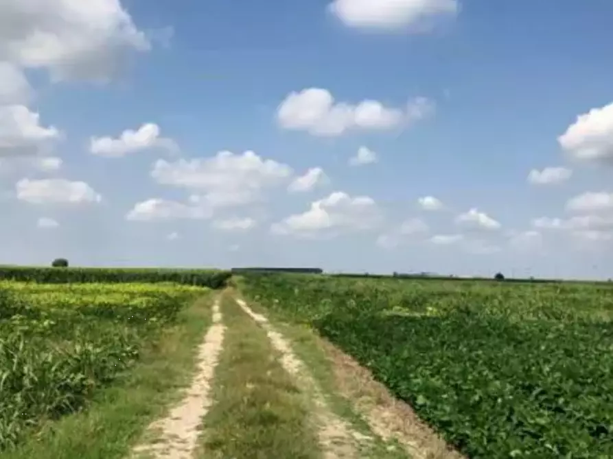 terreno agricolo in vendita a Legnago
