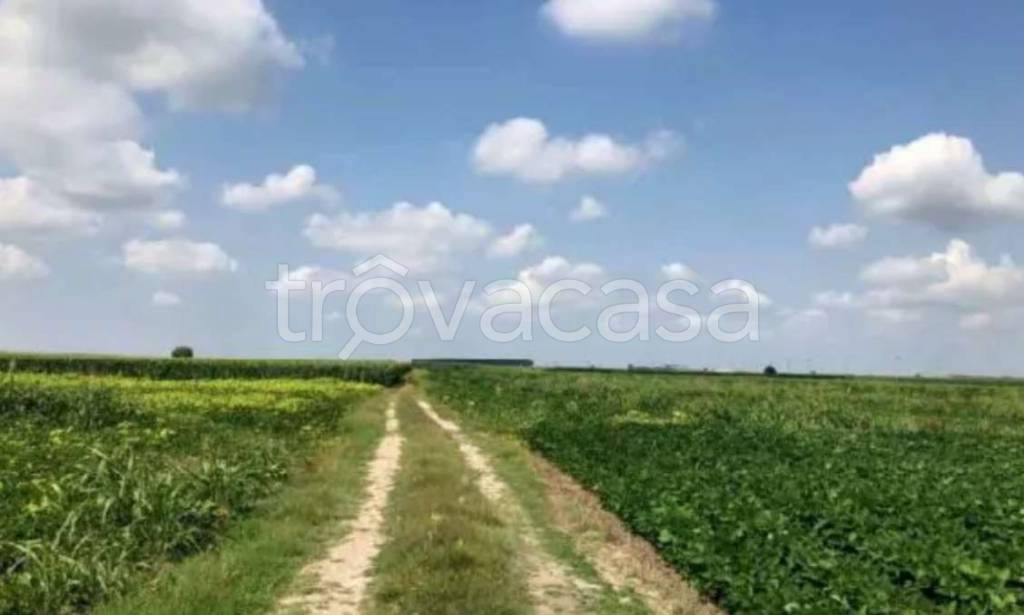 appartamento in vendita a Legnago