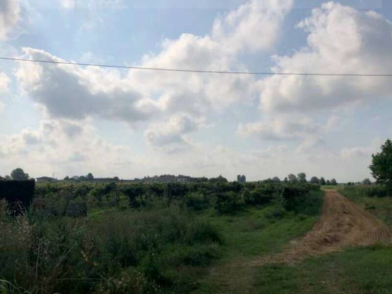 terreno agricolo in vendita a Legnago
