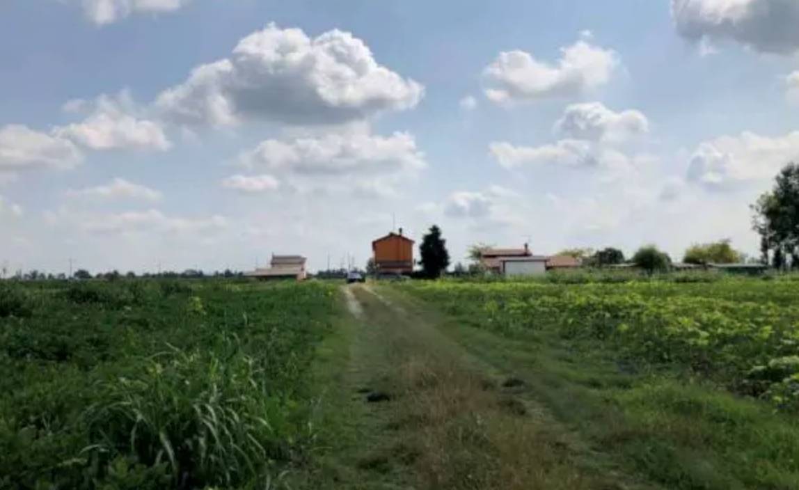 terreno agricolo in vendita a Legnago
