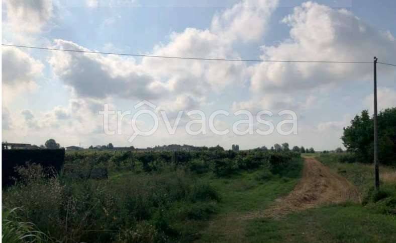 appartamento in vendita a Legnago