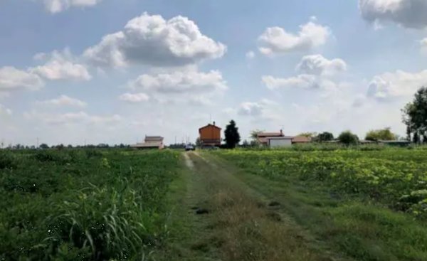 terreno agricolo in vendita a Legnago