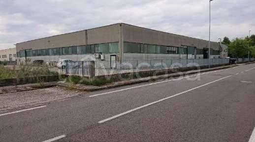 terreno edificabile in vendita a Legnago in zona San Pietro