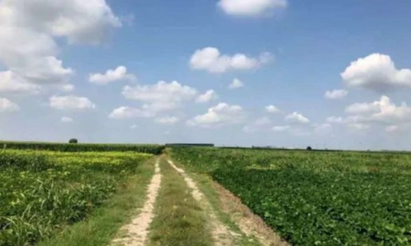 terreno agricolo in vendita a Legnago