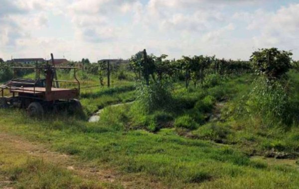 terreno agricolo in vendita a Legnago in zona Vigo