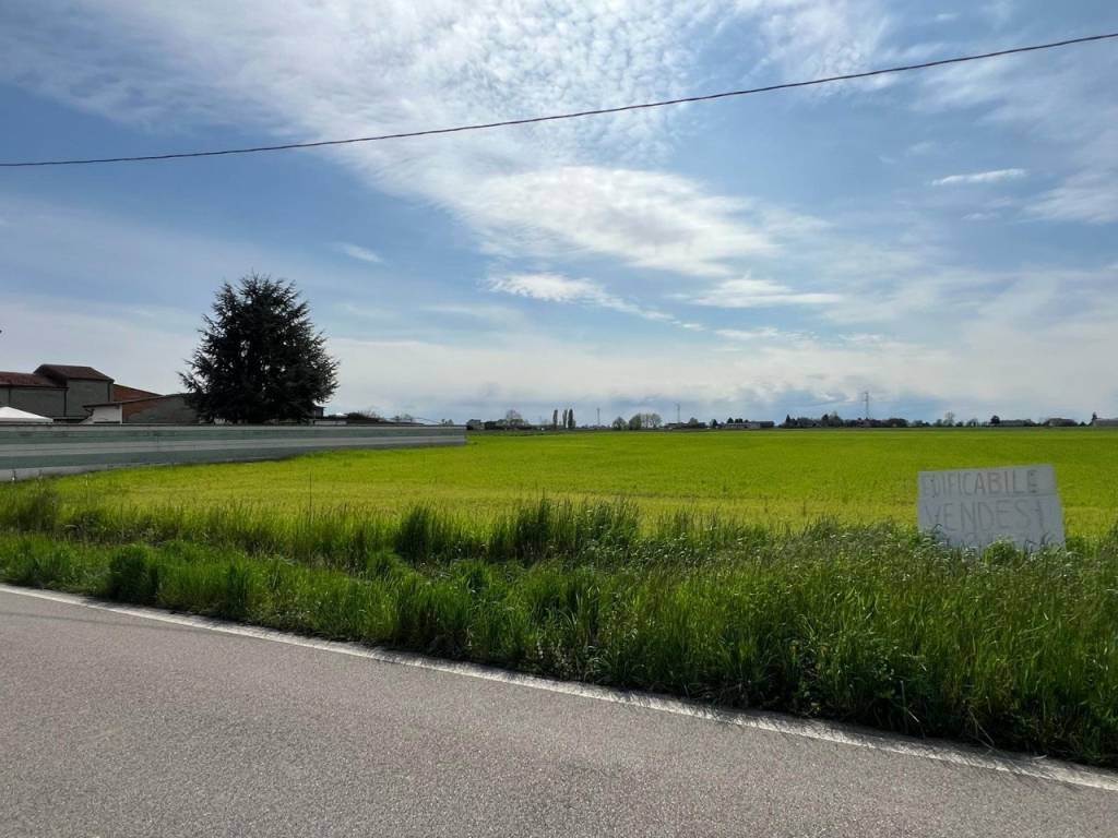 terreno agricolo in vendita a Legnago in zona San Pietro
