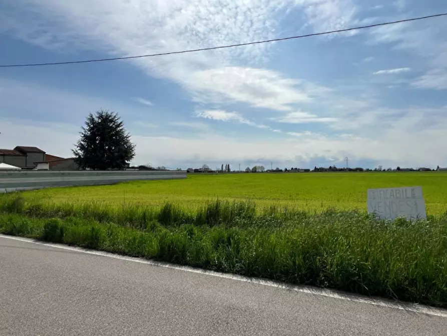 casa indipendente in vendita a Legnago in zona San Pietro
