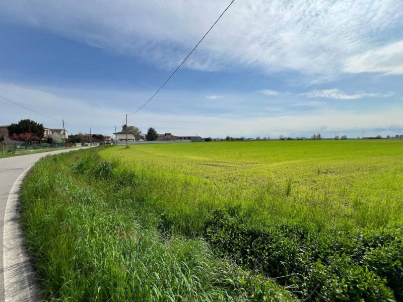 casa indipendente in vendita a Legnago in zona San Pietro