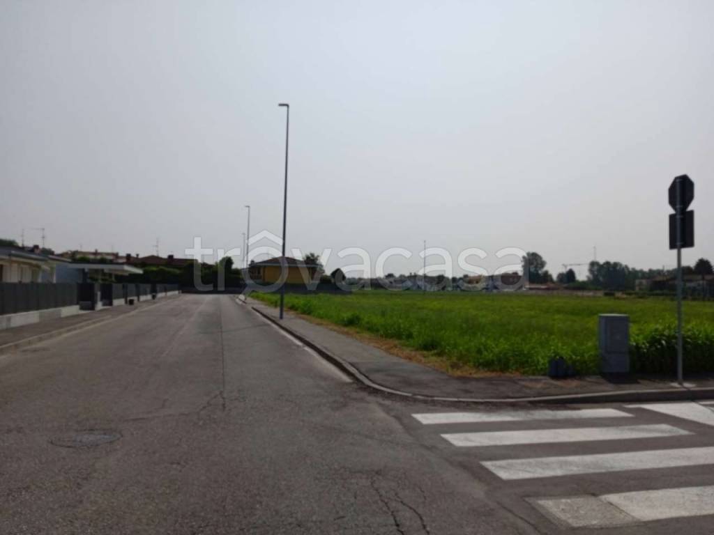 terreno agricolo in vendita a Legnago in zona San Pietro