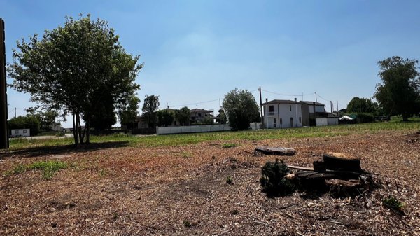 esavano in vendita a Legnago