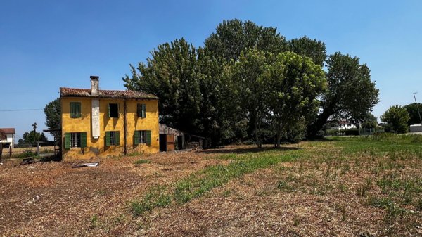 esavano in vendita a Legnago