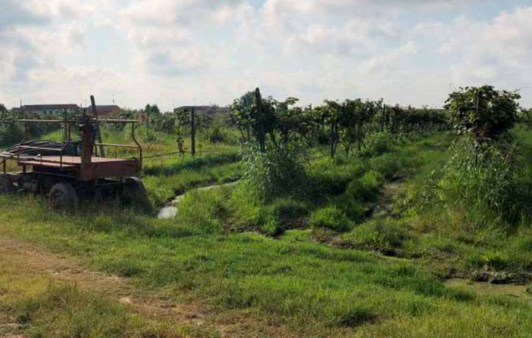 terreno agricolo in vendita a Legnago in zona Vigo