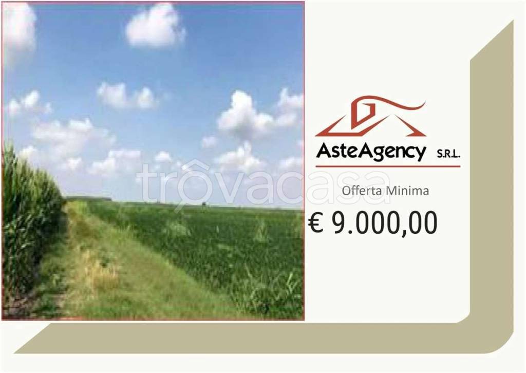 terreno agricolo in vendita a Legnago
