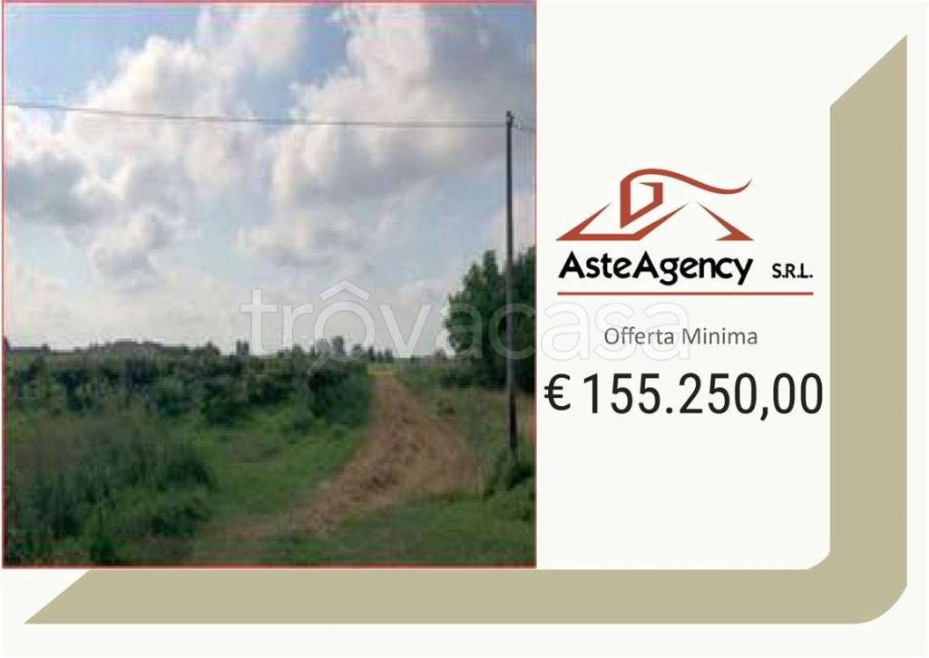 terreno agricolo in vendita a Legnago in zona Vigo