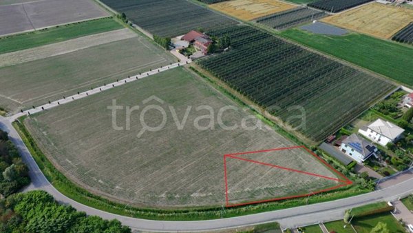 terreno agricolo in vendita a Legnago in zona Canove