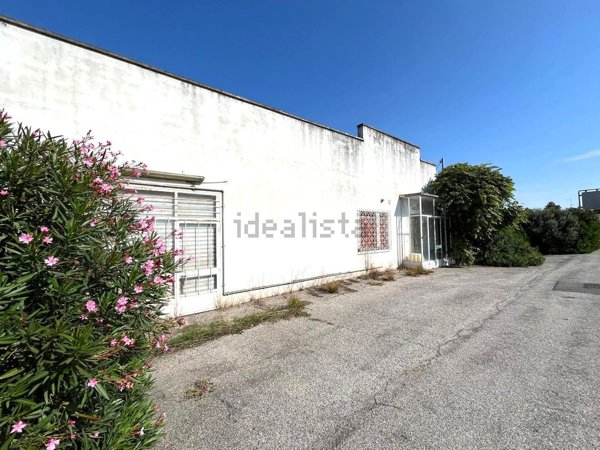 appartamento in vendita a Legnago in zona San Vito