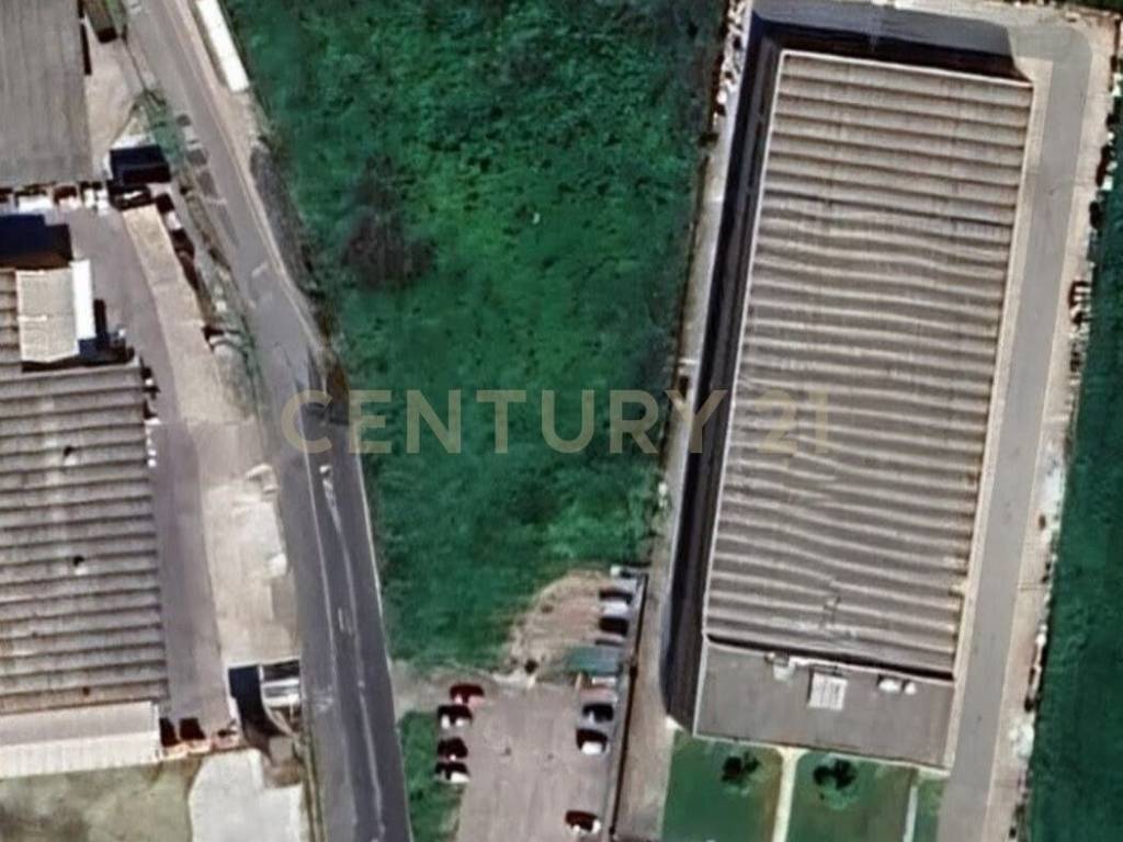 terreno agricolo in vendita a Legnago in zona San Pietro