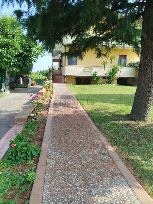 appartamento in vendita a Legnago