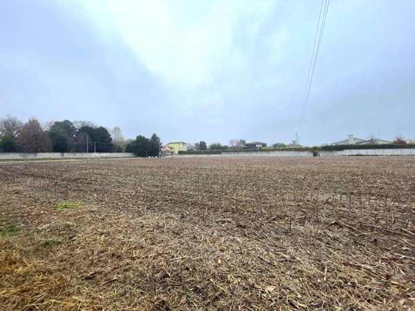terreno agricolo in vendita a Legnago in zona San Pietro