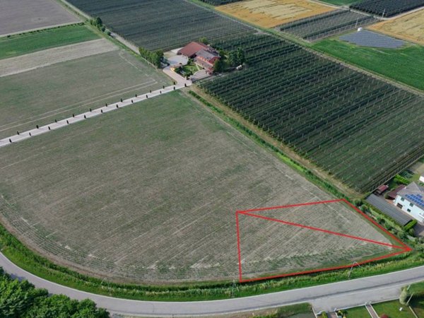 terreno edificabile in vendita a Legnago in zona Canove