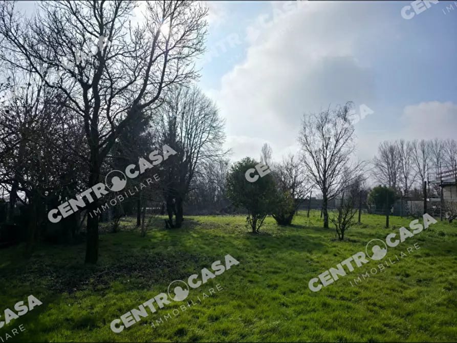 terreno agricolo in vendita a Legnago in zona San Pietro